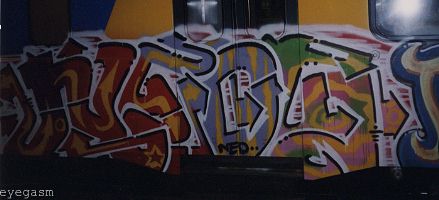 neds01.jpg