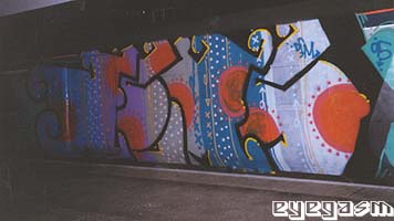 nems01.jpg