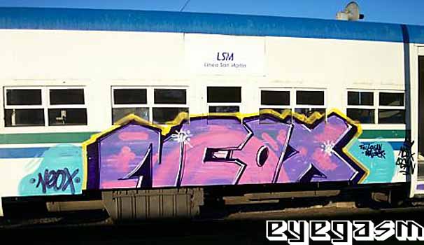 neox01.jpg