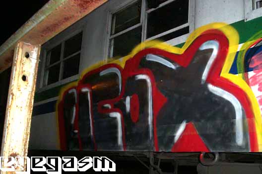neox03.jpg