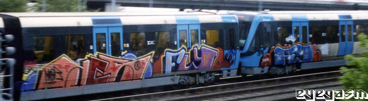 ner-fy-fy01.jpg