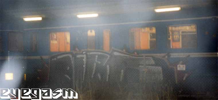 ner08.jpg