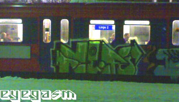 ner11.jpg