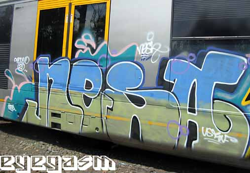 nesa01.jpg