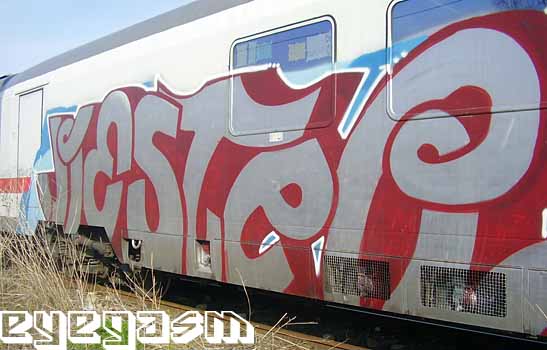 nester01.jpg