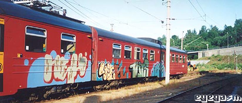 nevi-lien-thts-keas01.jpg