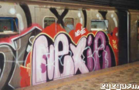 nexie03.jpg