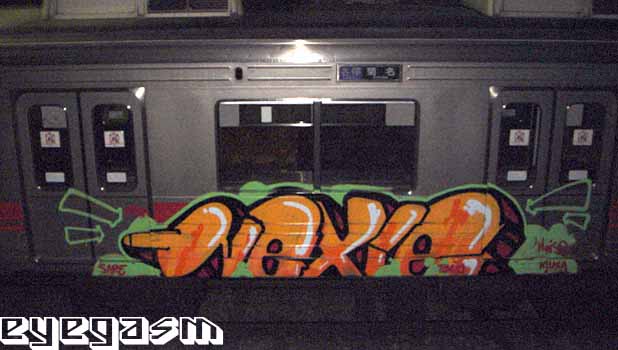 nexie07.jpg