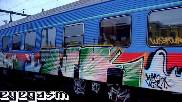 nfk01.jpg