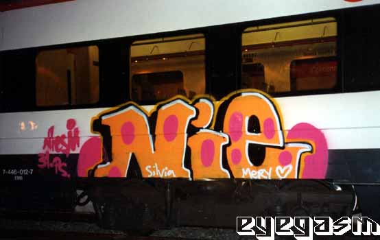 nie06.jpg