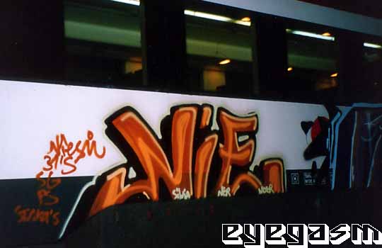 nie10.jpg
