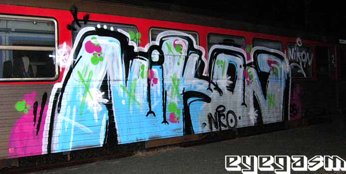nikon001.jpg