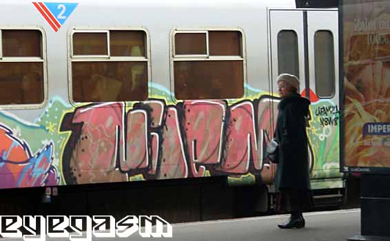 nilem02.jpg