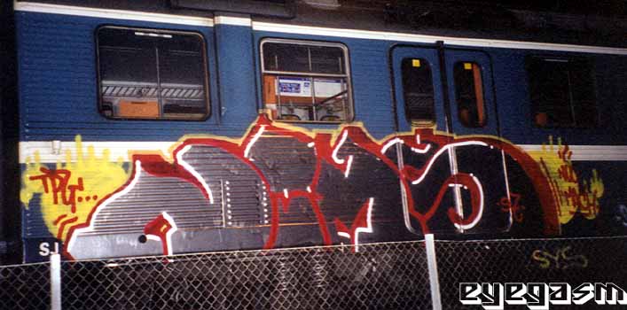 nims04.jpg