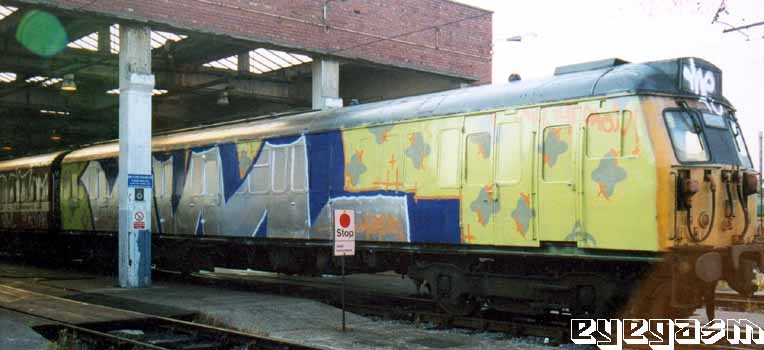 nm-wc01.jpg