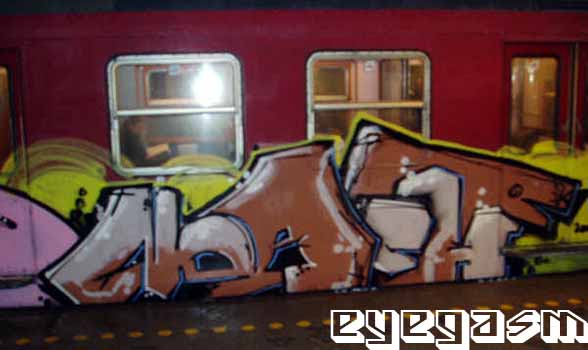 noach01.jpg