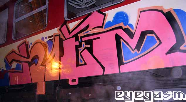 noem01.jpg