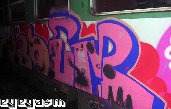 noem02.jpg