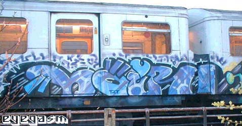 noir01.jpg