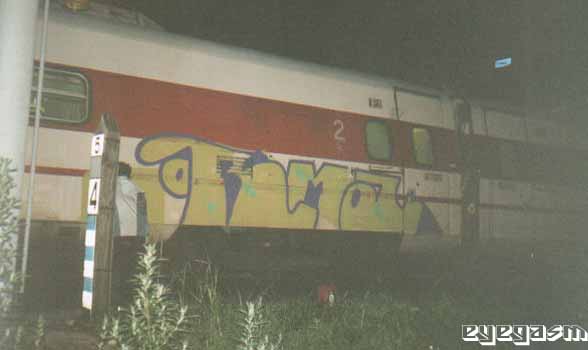 norma10.jpg