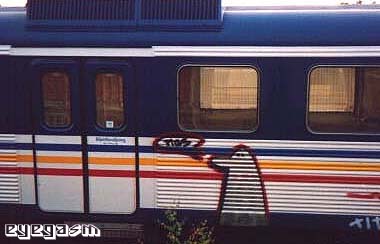nos01.jpg