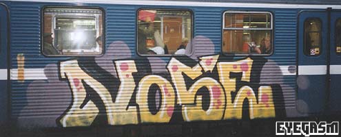 nose01.jpg