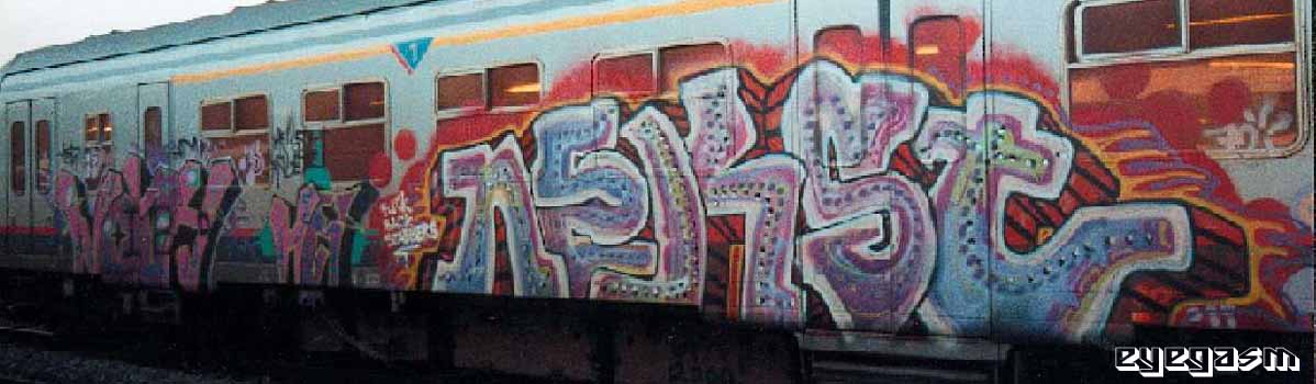 nosh-nekst01.jpg