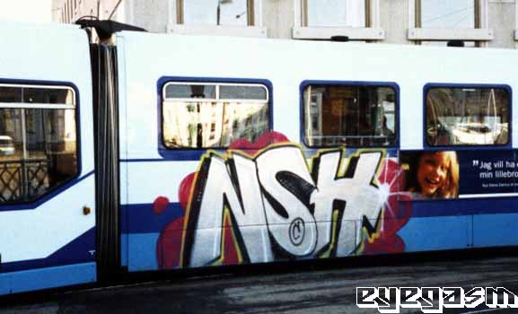 nsh01.jpg