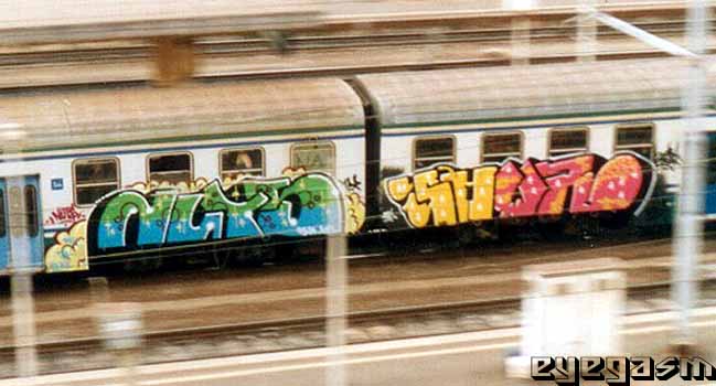 nuts-sher01.jpg