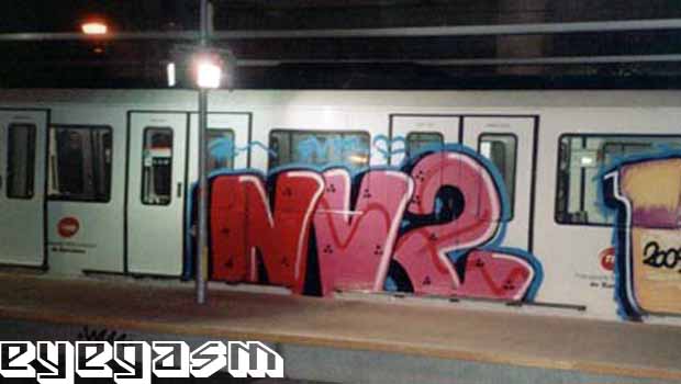 nv201.jpg