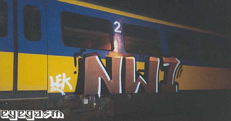 nw101.jpg