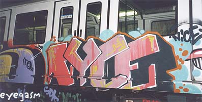 nyce01.jpg