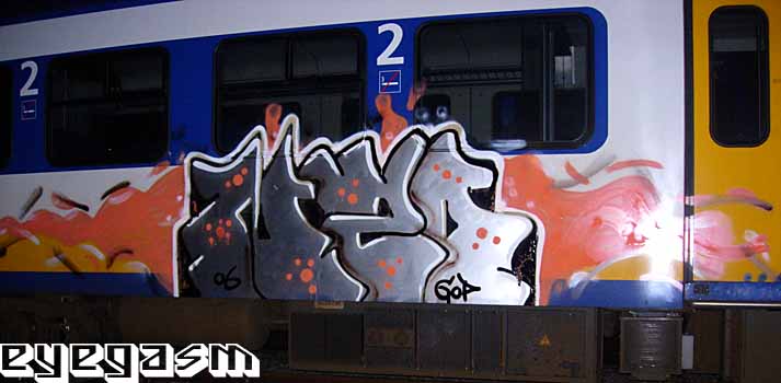 nzo02.jpg