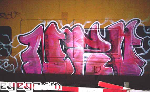 nzo04.jpg