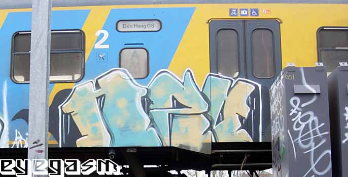 nzo05.jpg