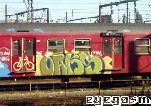 oaks01.jpg