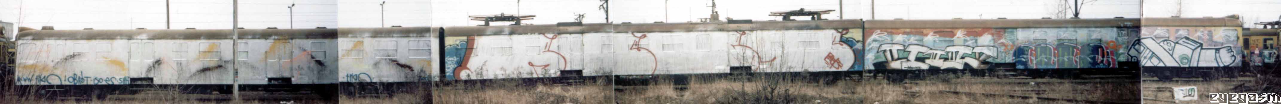 obrut-rebs-komar-cleo-baio-wc01.jpg