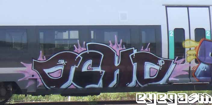 ocho003.jpg