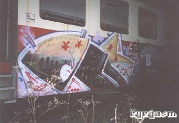 ole05.jpg