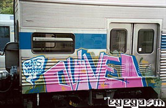 olive01.jpg
