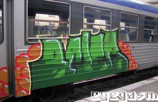 omer08.jpg