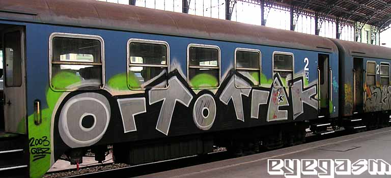 ortotrek01.jpg