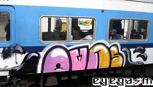owns05.jpg