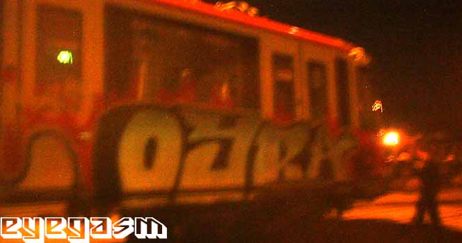 oyra01.jpg