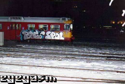 paco-spol01.jpg