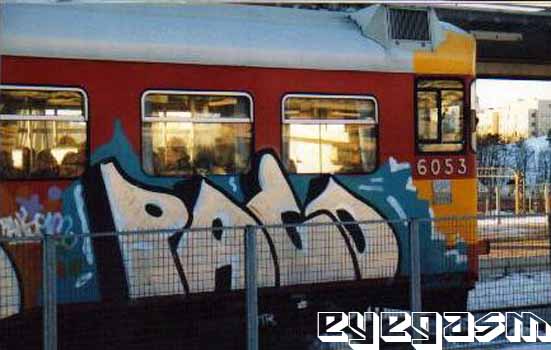 paco01.jpg