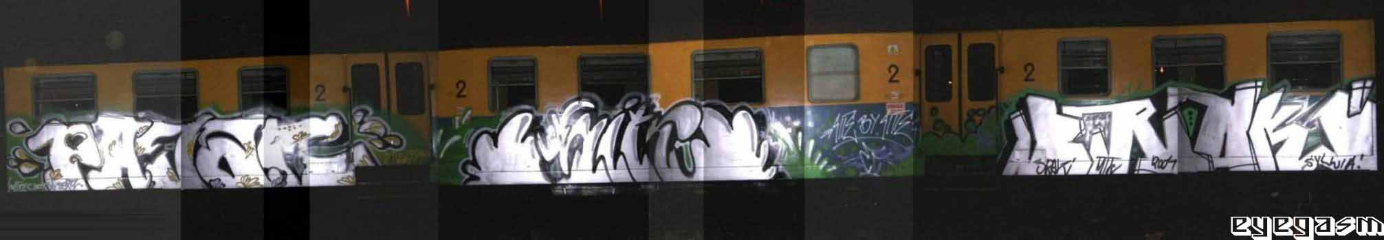 pajac-site-brak01.jpg