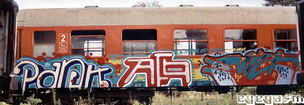 pank-afo-viet01.jpg