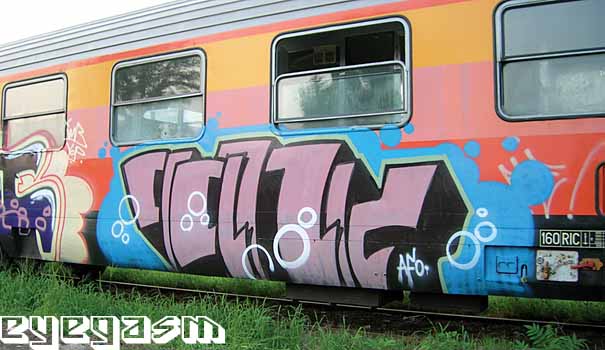 pank01.jpg