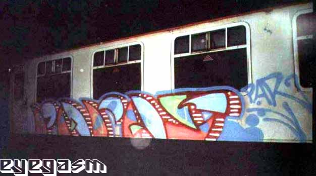 paras01.jpg